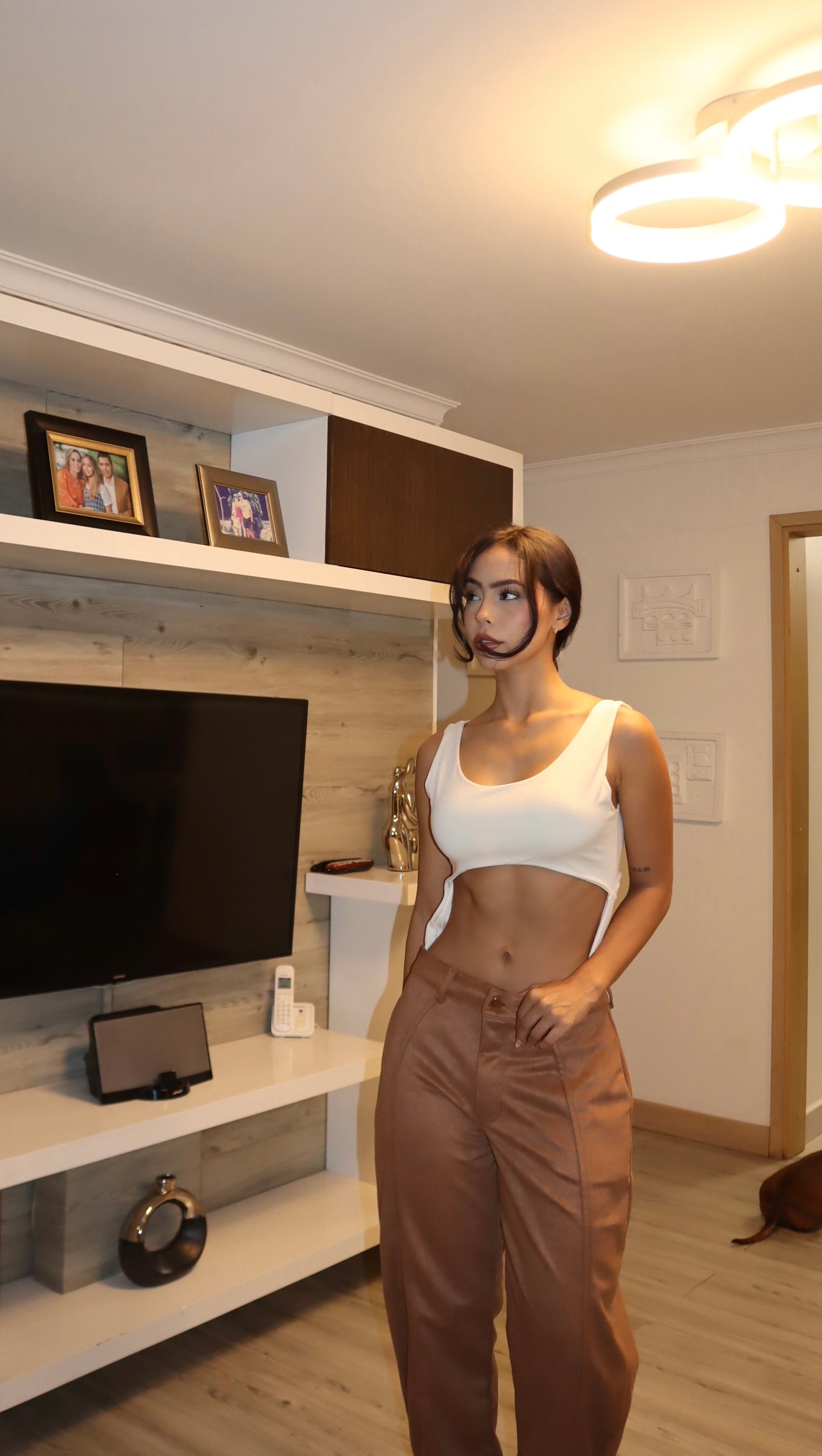 Body 341
