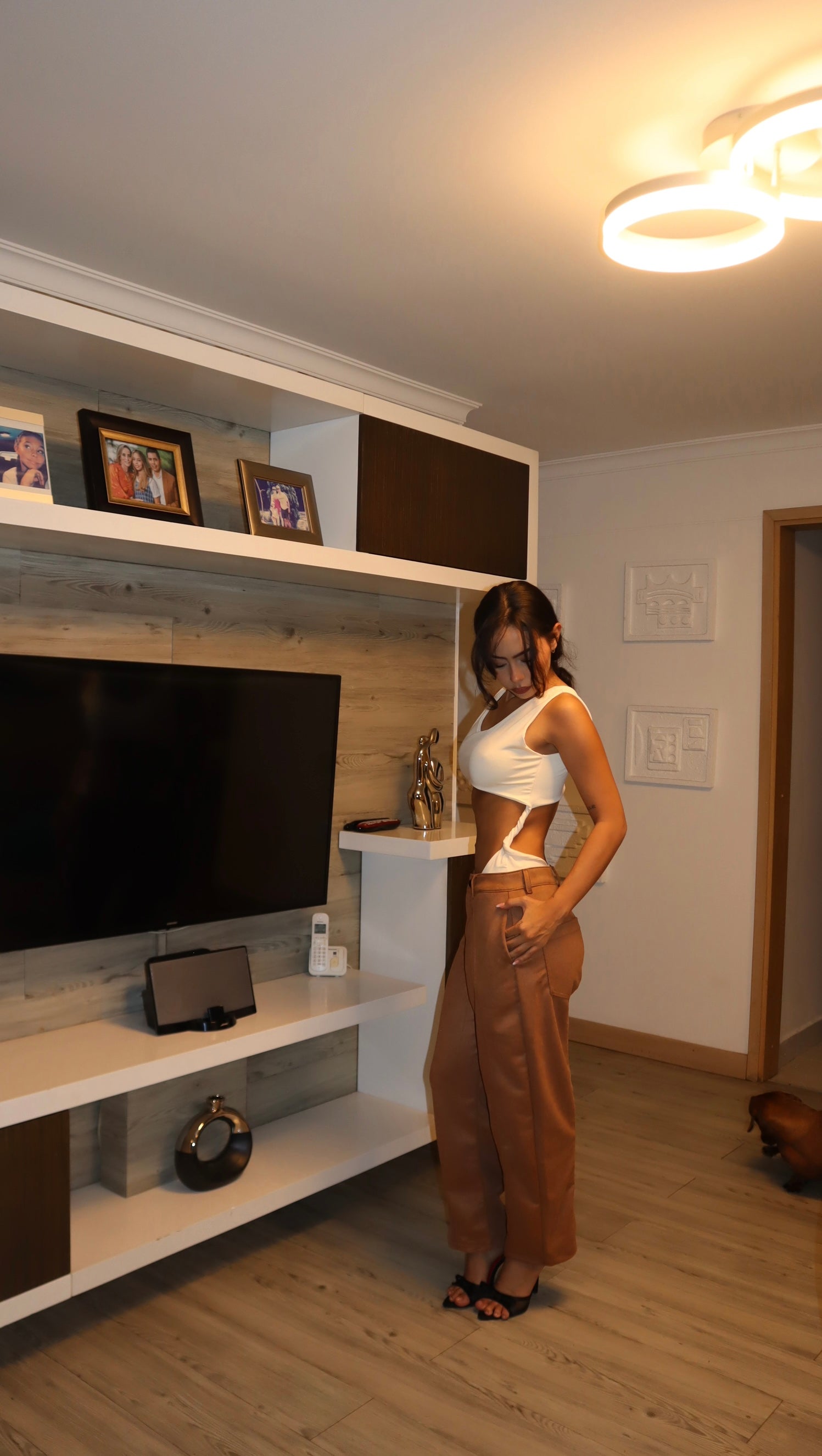 Body 341
